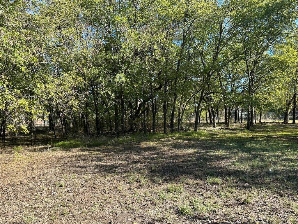 Newark, TX 76071,Lot 5 County Rd 4871