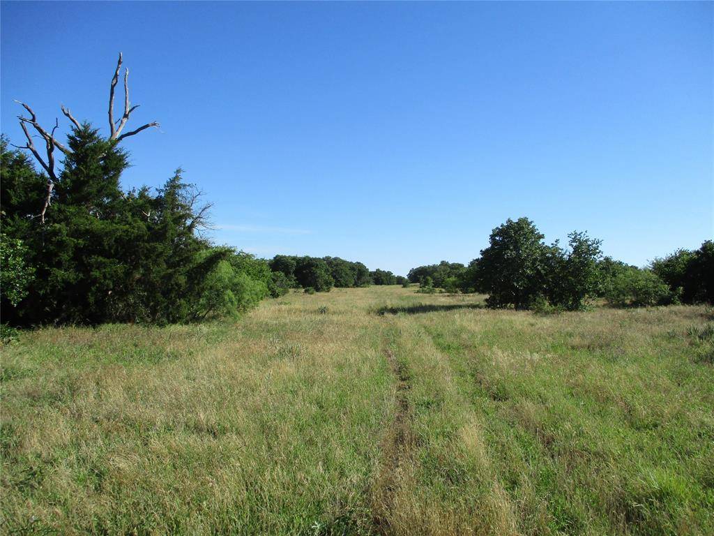 Bluegrove, TX 76352,72 AC old Joy Shannon