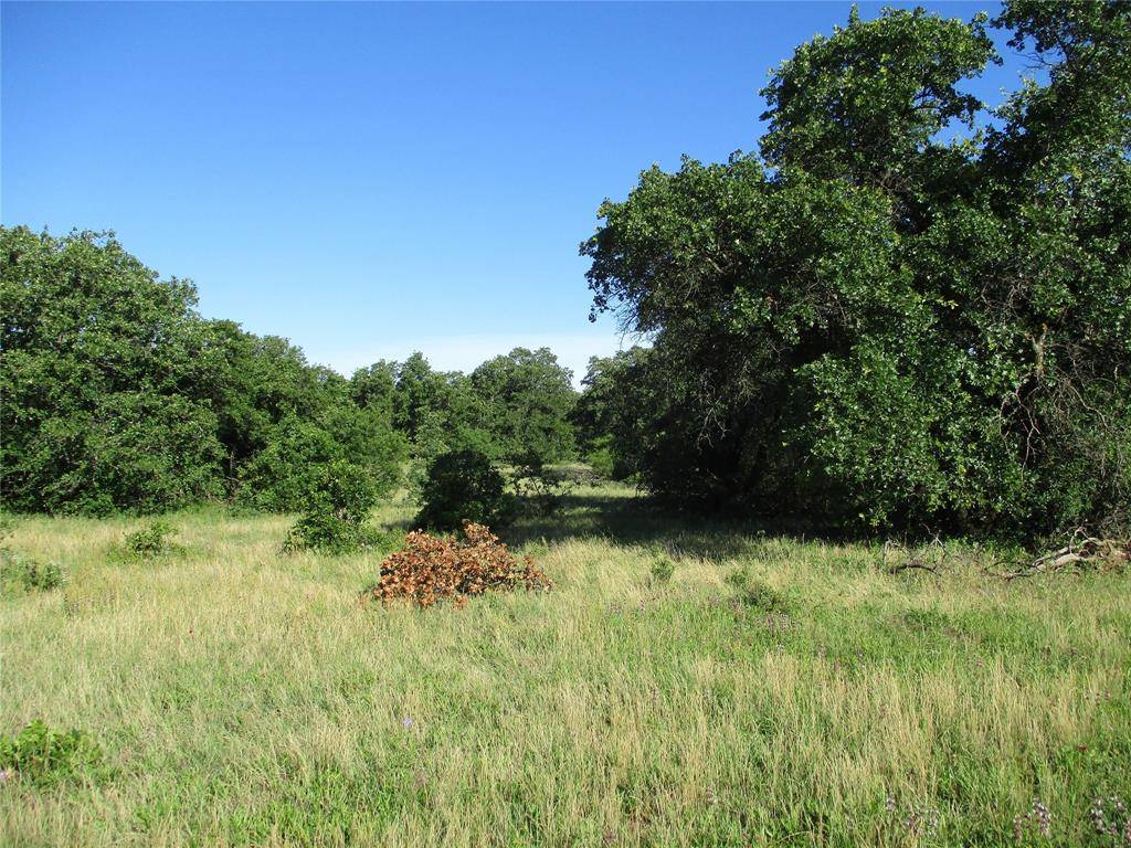 Bluegrove, TX 76352,72 AC old Joy Shannon