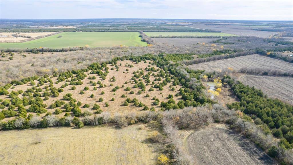 Bailey, TX 75413,TBD County Rd 3725