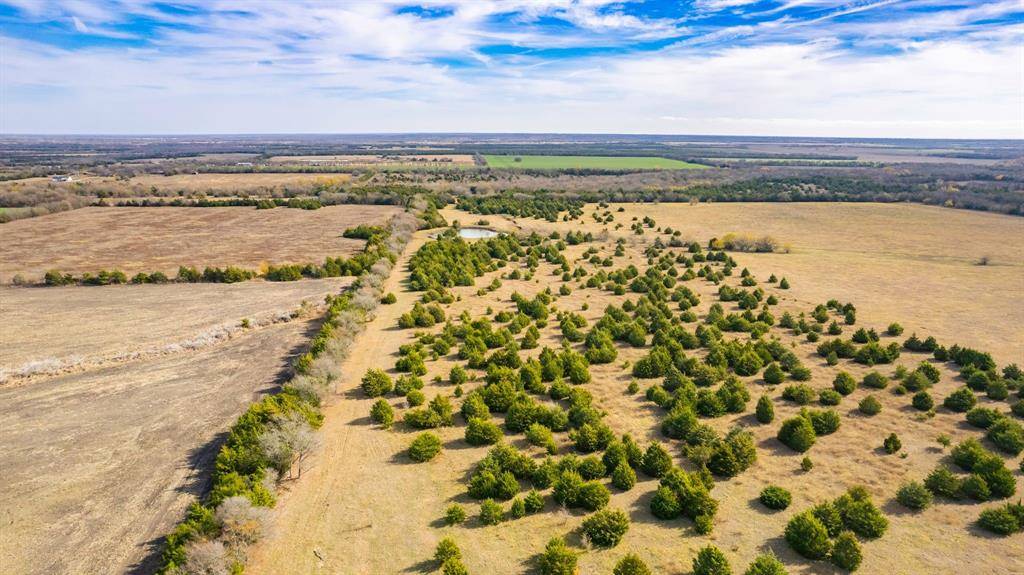 Bailey, TX 75413,TBD County Rd 3725