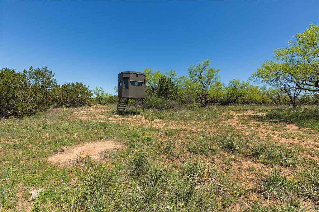 Trent, TX 79561,1 CR 121