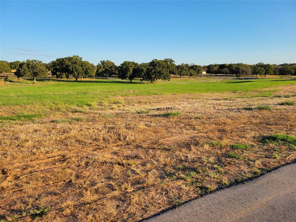 Weatherford, TX 76087,4004 Margaret's Meadow