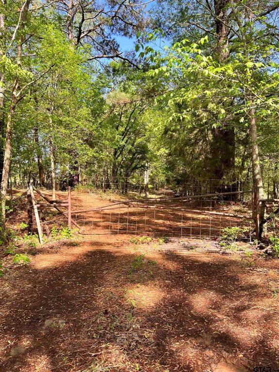 Frankston, TX 75763,00 CR 3115 Listing #2