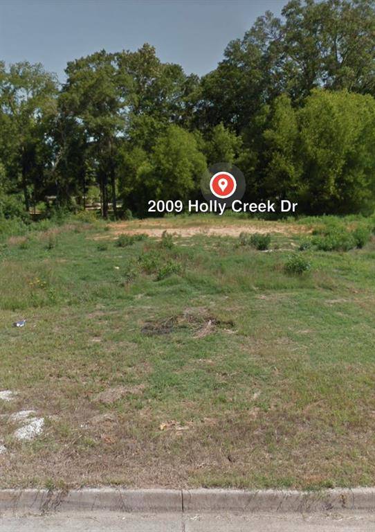 Tyler, TX 75703,2009 Holly Creek Drive