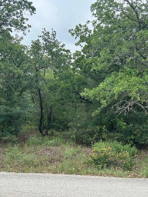 Runaway Bay, TX 76426,TBD Jim Walters Drive