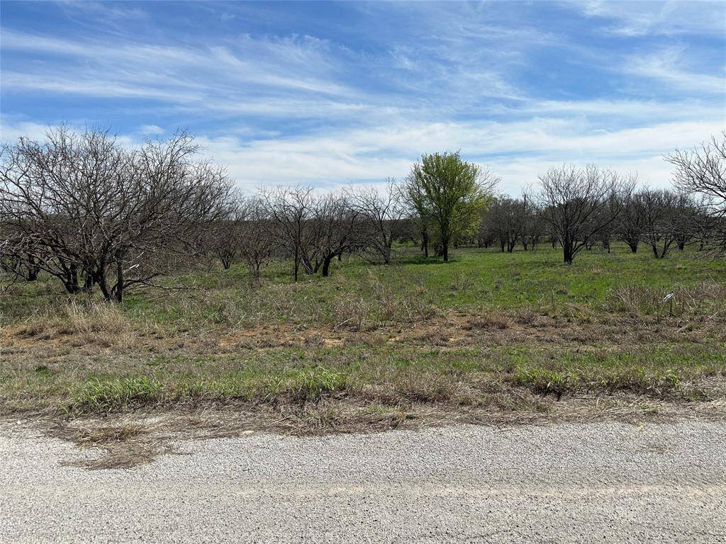 Brownwood, TX 76801,TBD803 Bay Breeze Drive