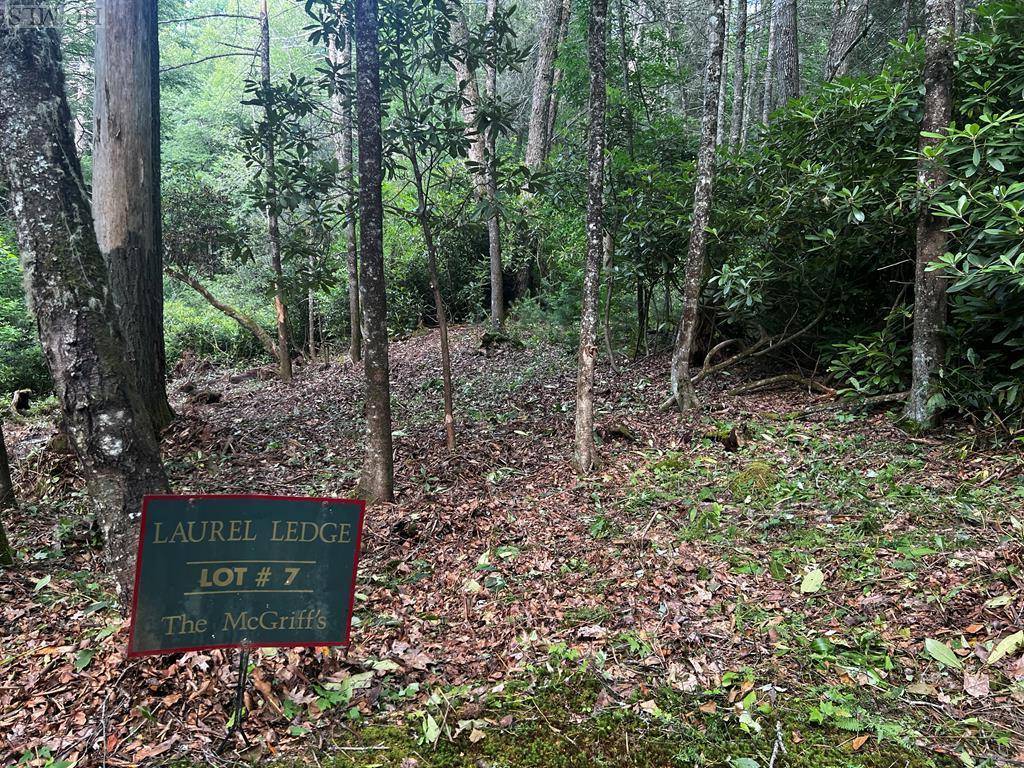 Cashiers, NC 28717,Lot #7 Cascades Falls Trail