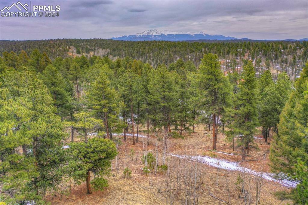 Florissant, CO 80816,78 Blackhawk CIR