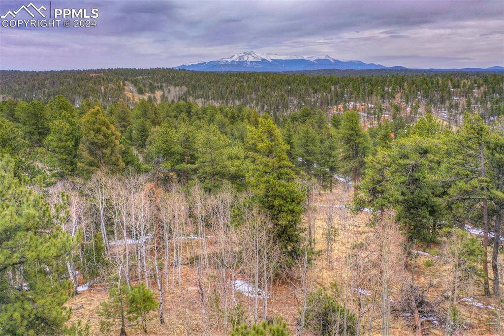 Florissant, CO 80816,78 Blackhawk CIR