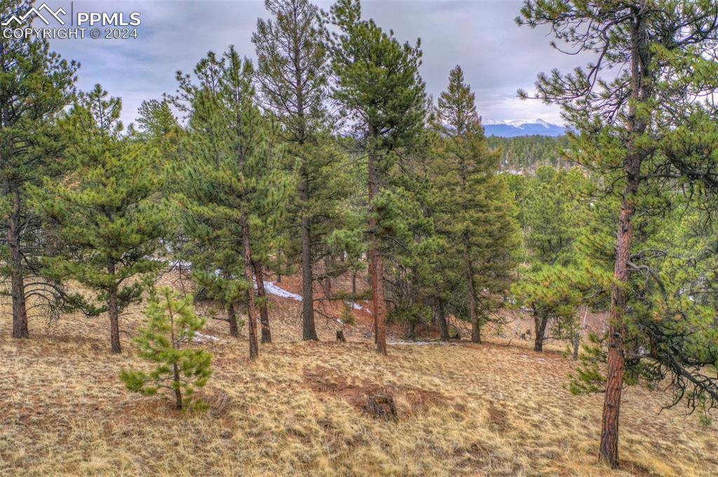 Florissant, CO 80816,78 Blackhawk CIR