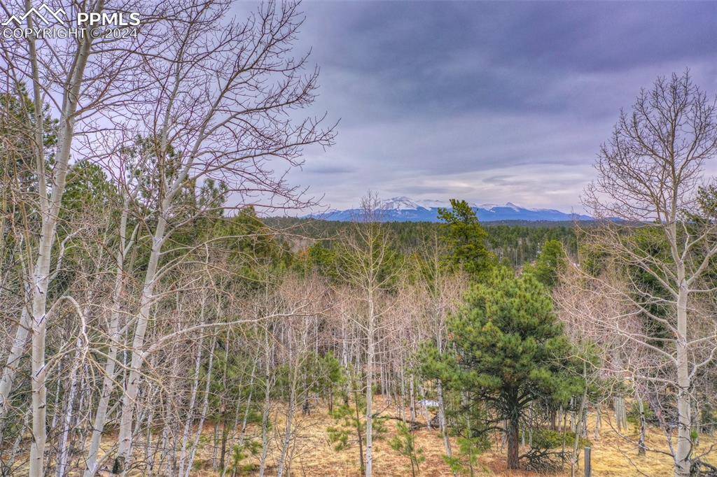 Florissant, CO 80816,78 Blackhawk CIR