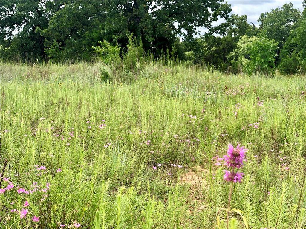 Glen Rose, TX 76043,TBD Lot Falcon Drive