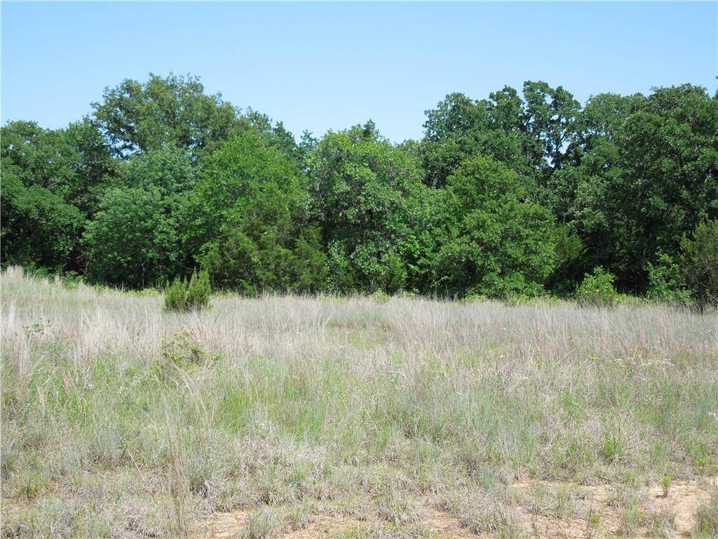 Glen Rose, TX 76043,Lot 38 Paloma Court