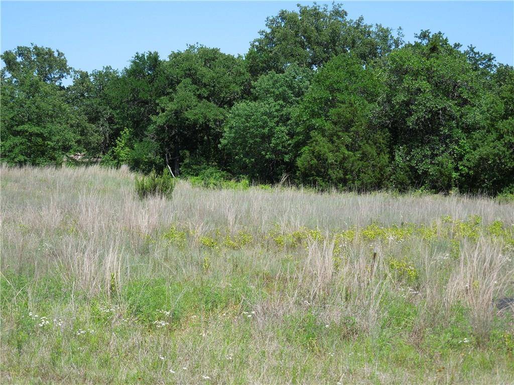 Glen Rose, TX 76043,Lot 38 Paloma Court