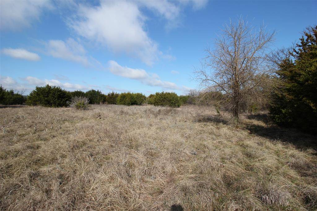 Glen Rose, TX 76043,TBD Fm 203