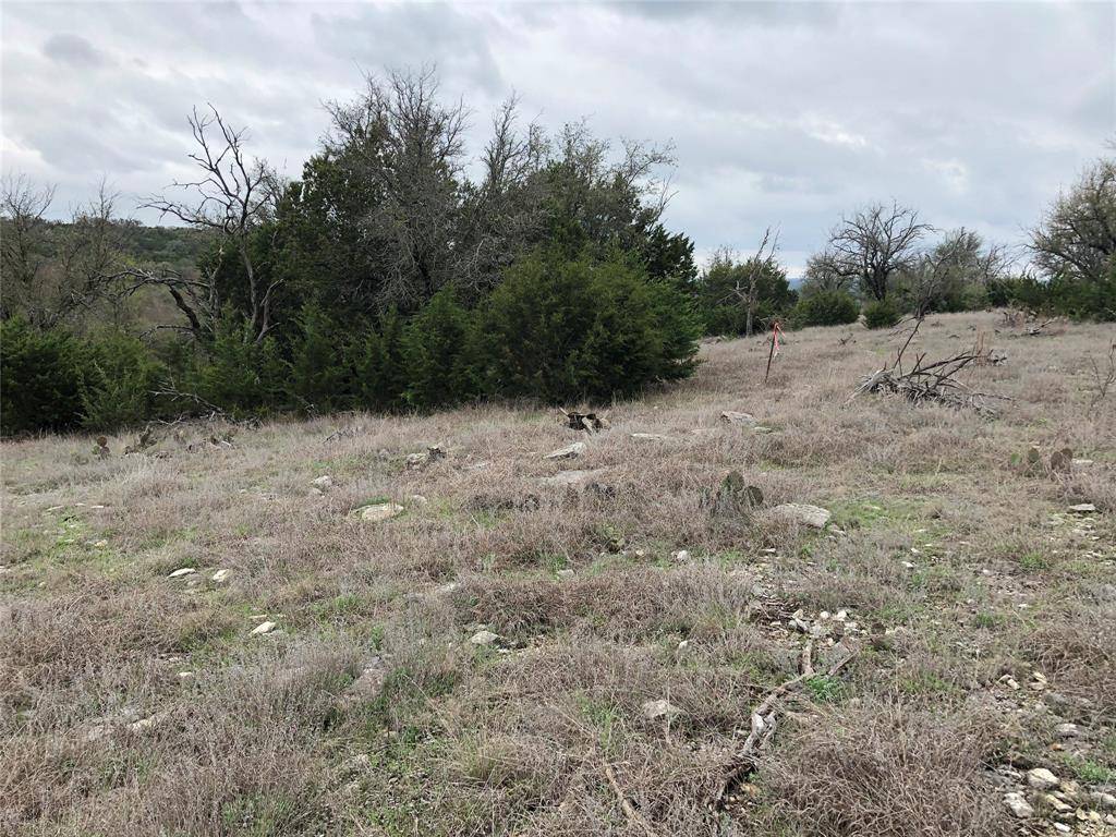 Glen Rose, TX 76043,TBD County Rd 1007