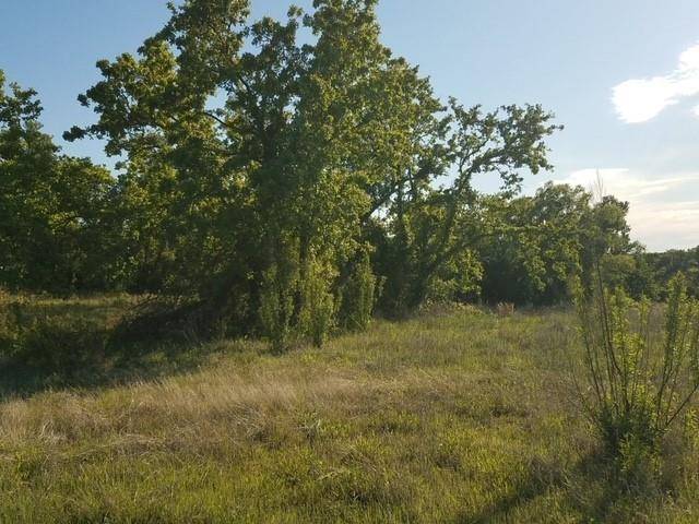 Glen Rose, TX 76043,Lot 2 Falcon Drive