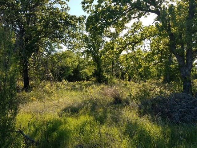 Glen Rose, TX 76043,Lot 2 Falcon Drive