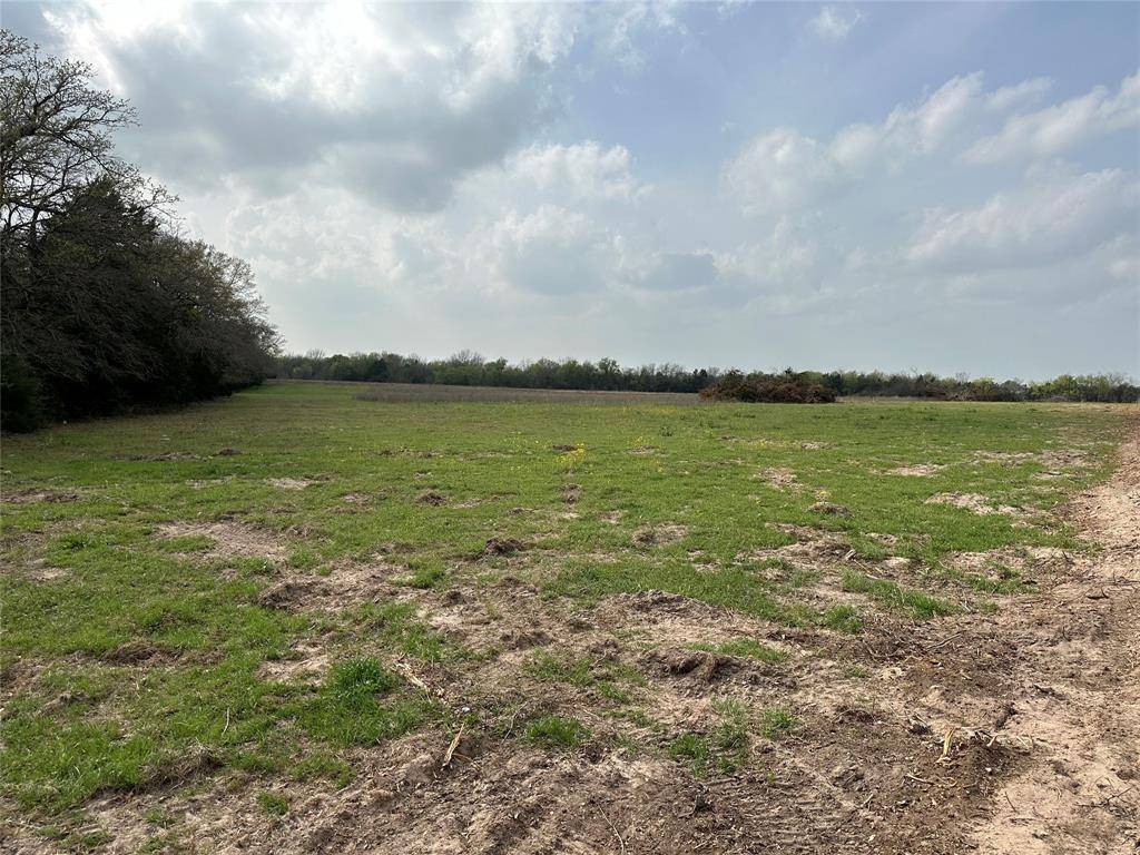 Mexia, TX 76667,TBD-5 County Road 512