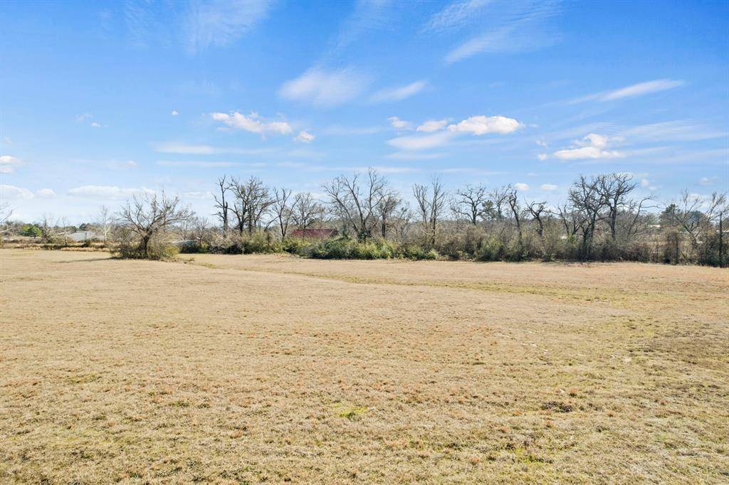 Mount Vernon, TX 75457,TBD High Meadow Dr