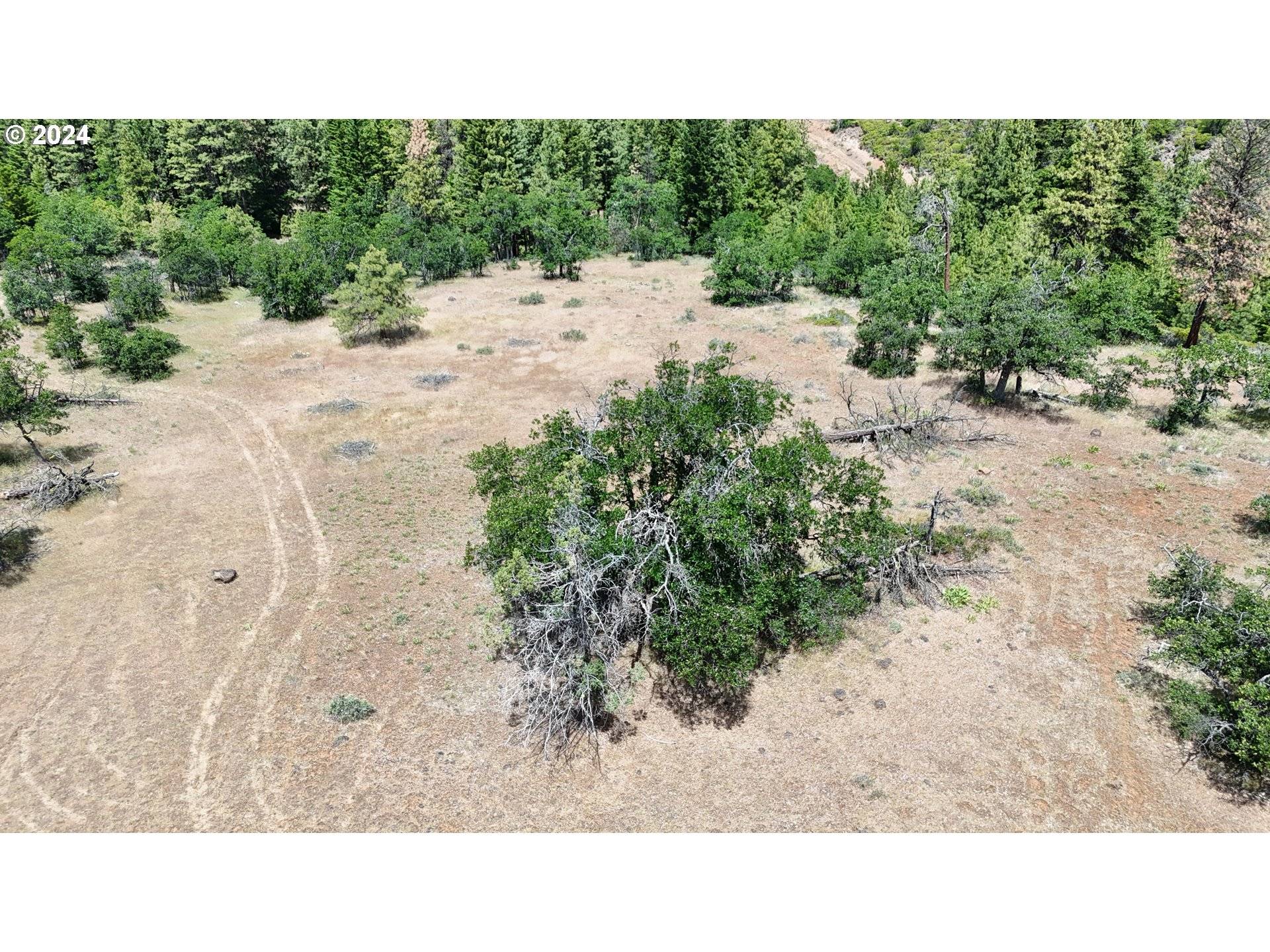 Pine Grove, OR 97037,0000 Kelly Springs RD