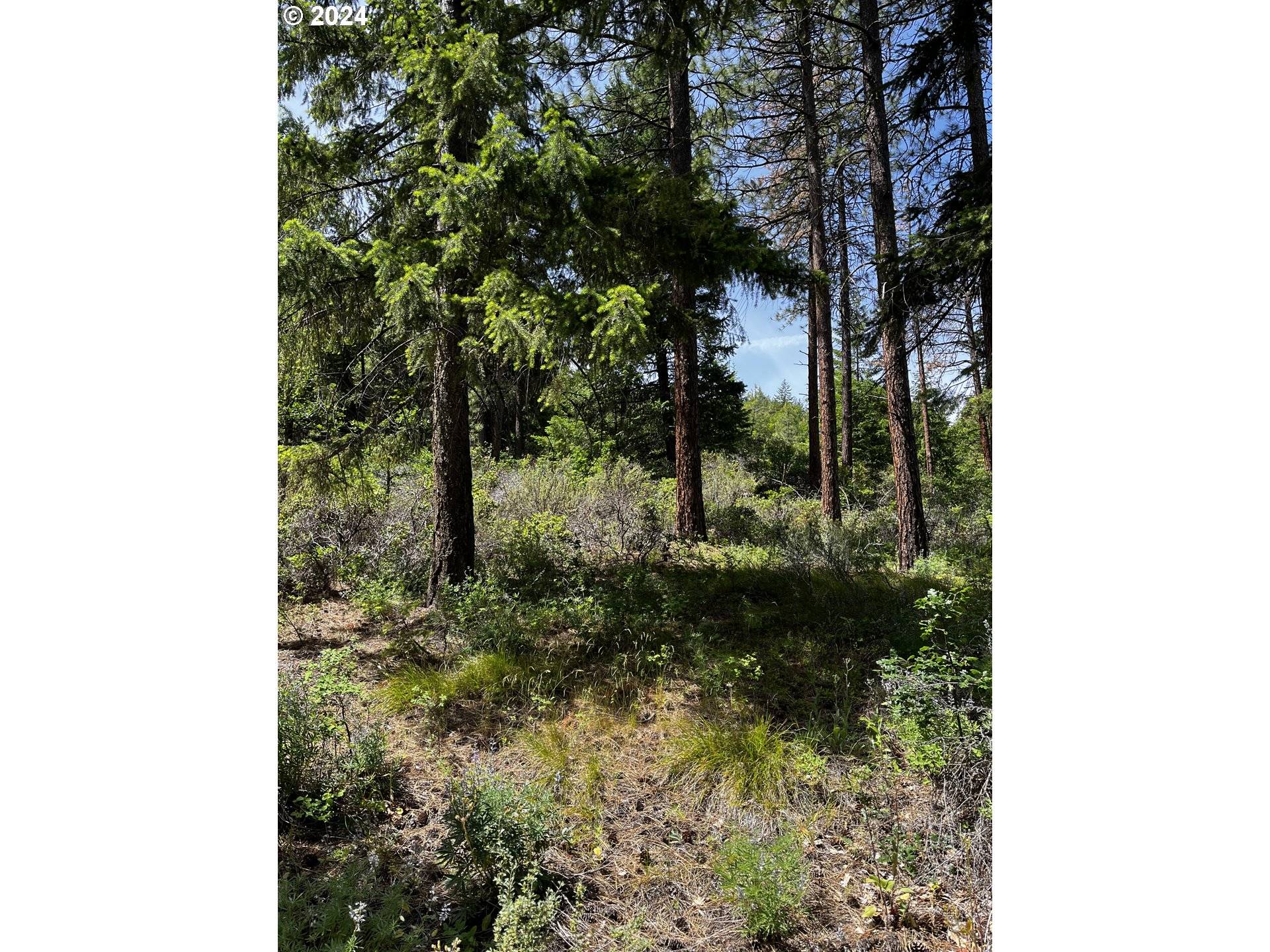 Pine Grove, OR 97037,0000 Kelly Springs RD