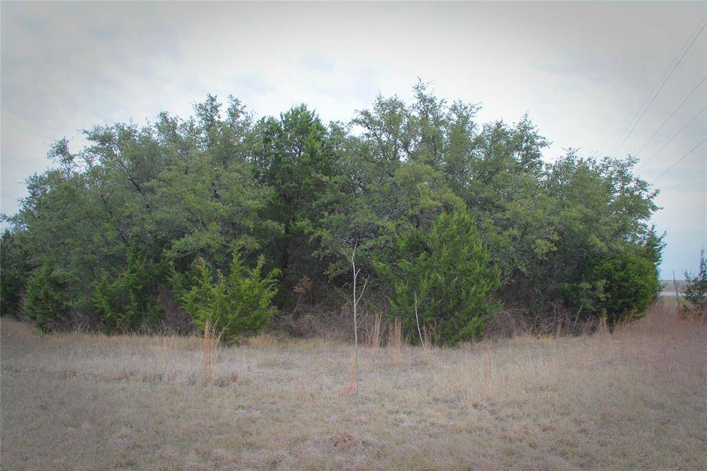 Hamilton, TX 76531,TBD W Hwy 36