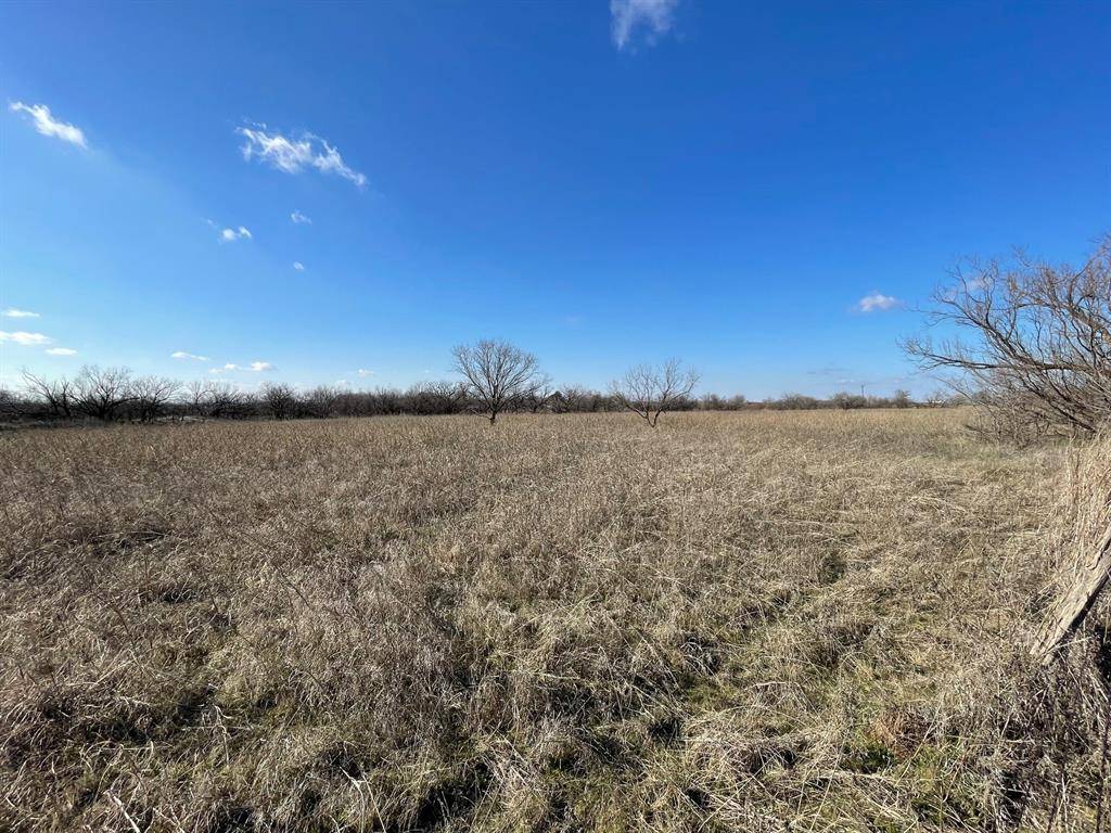 Seymour, TX 76380,tbd Hale Road