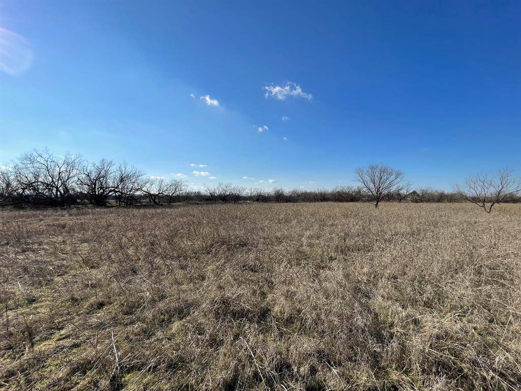 Seymour, TX 76380,tbd Hale Road