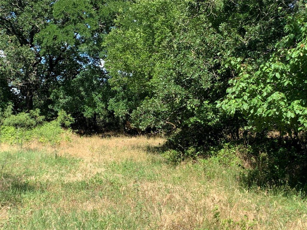 Comanche, TX 76442,26 ac County Rd 424