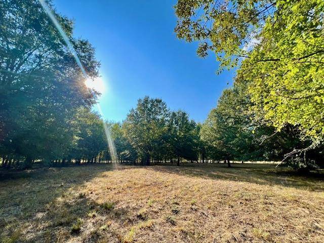 Blossom, TX 75416,Lot 10 PR 44005