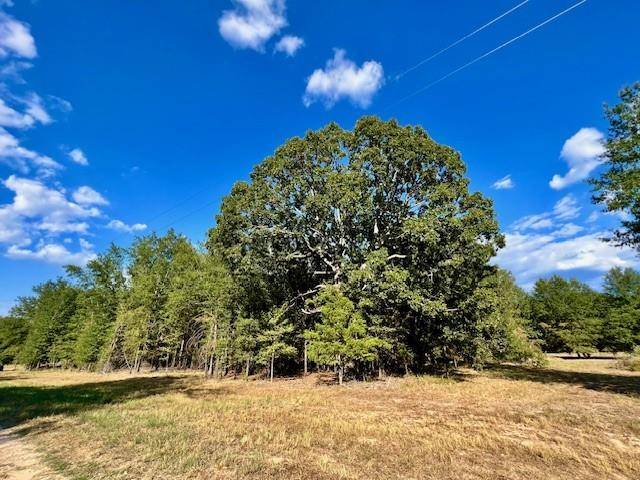 Blossom, TX 75416,Lot 10 PR 44005