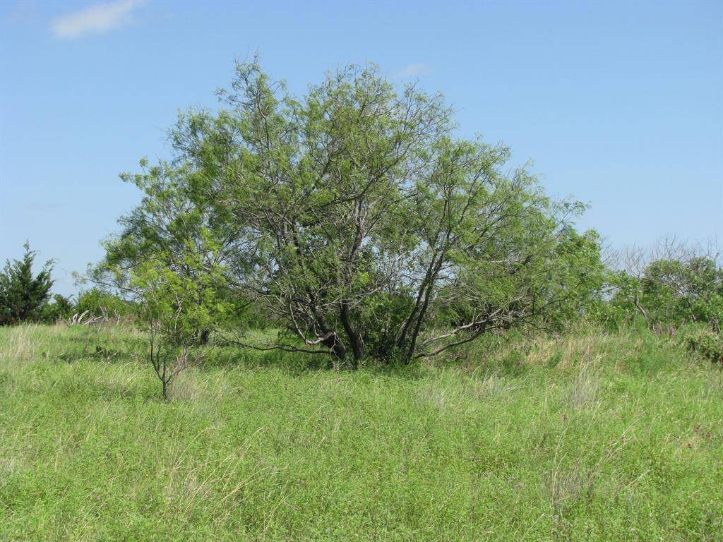 Gatesville, TX 76528,TBD County Rd 100