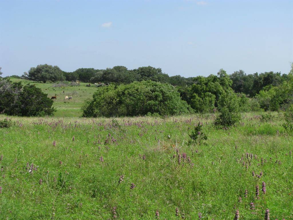 Gatesville, TX 76528,TBD County Rd 100