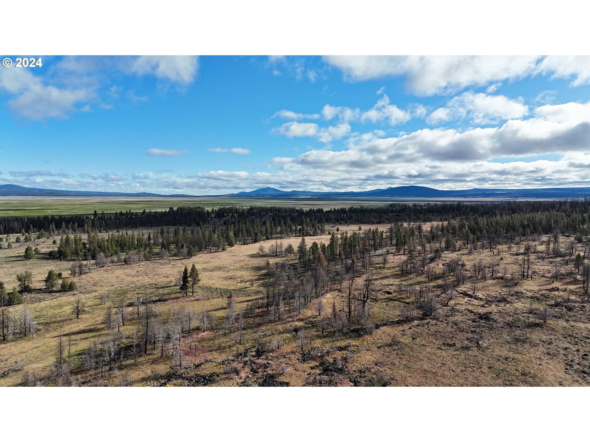 Paisley, OR 97636,0 Sycan Marsh