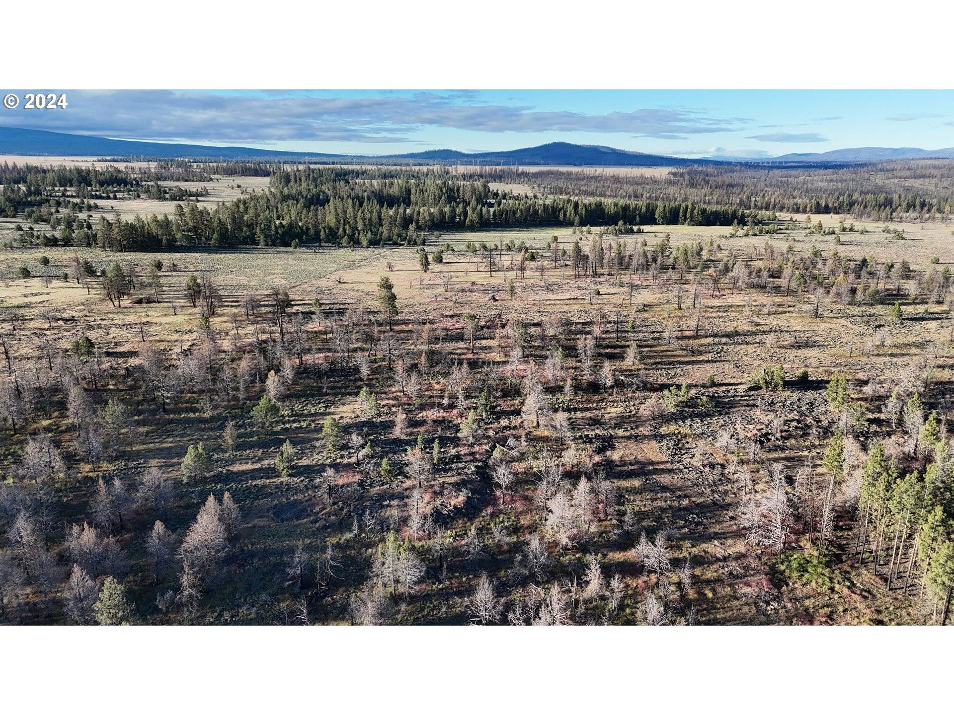 Paisley, OR 97636,0 Sycan Marsh