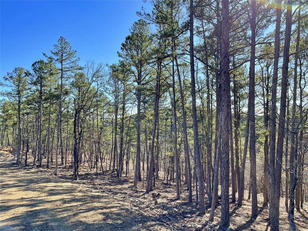 Broken Bow, OK 74728,6 Claire Creek Trail