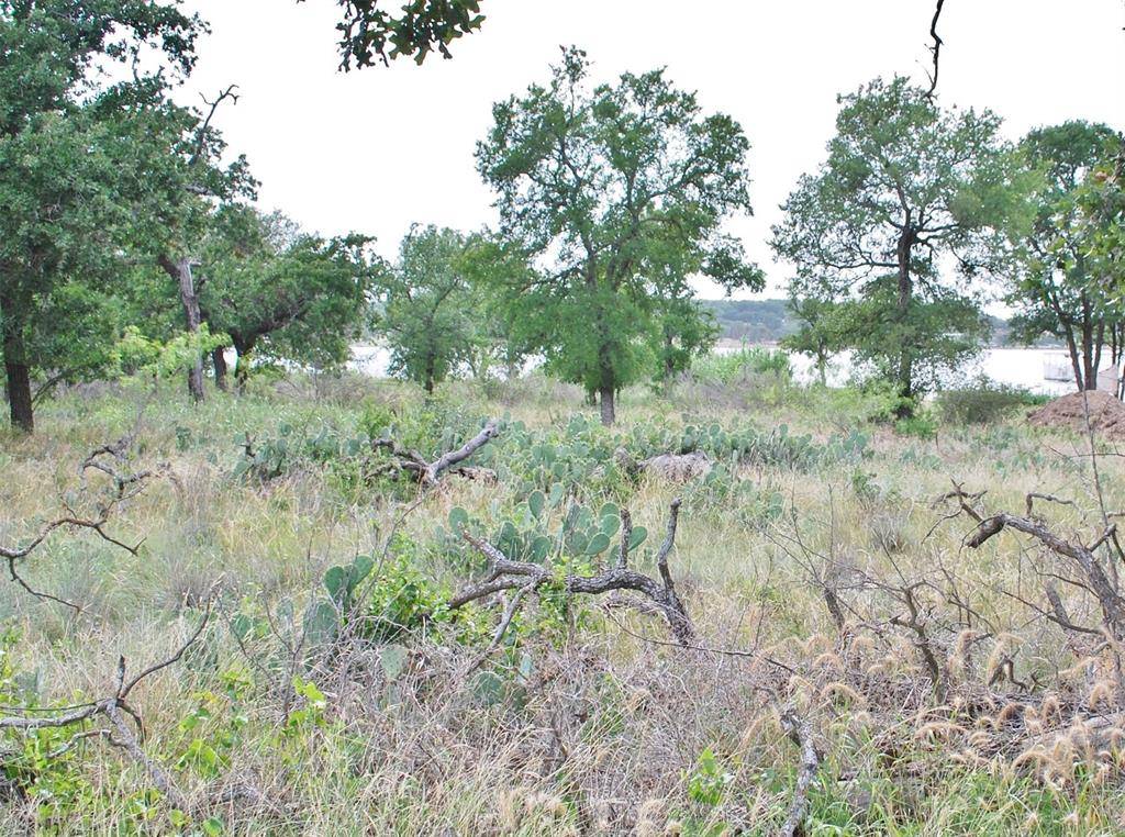 Lake Brownwood, TX 76801,Lot #14 Hawk Lane