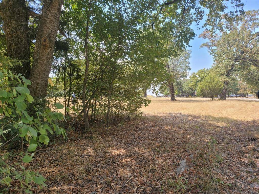 Trinidad, TX 75163,Lot 24 Westwood Drive