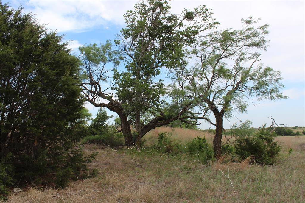 Dublin, TX 76446,T13 TBD County Road 349