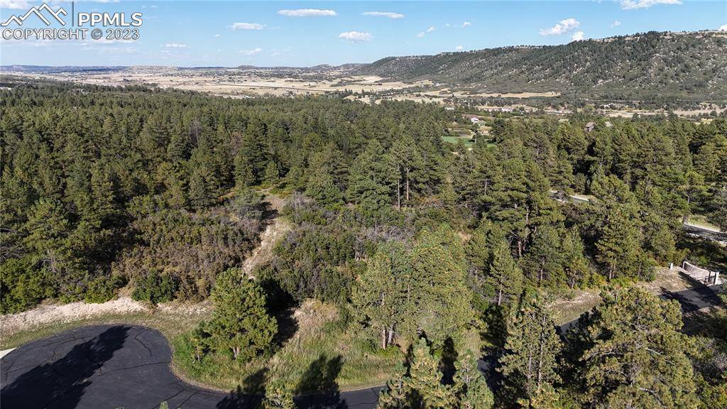 Larkspur, CO 80118,1371 Grayhawk PL