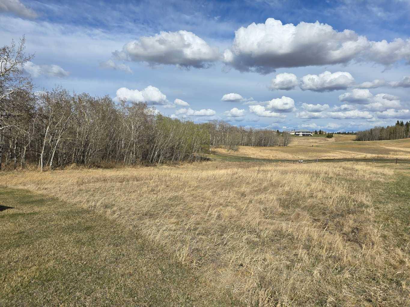 Rural Ponoka County, AB T4J 1R3,111 Wolf Run DR