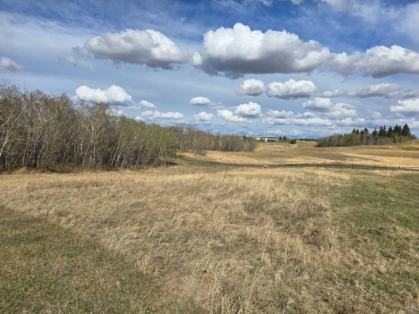 Rural Ponoka County, AB T4J 1R3,111 Wolf Run DR