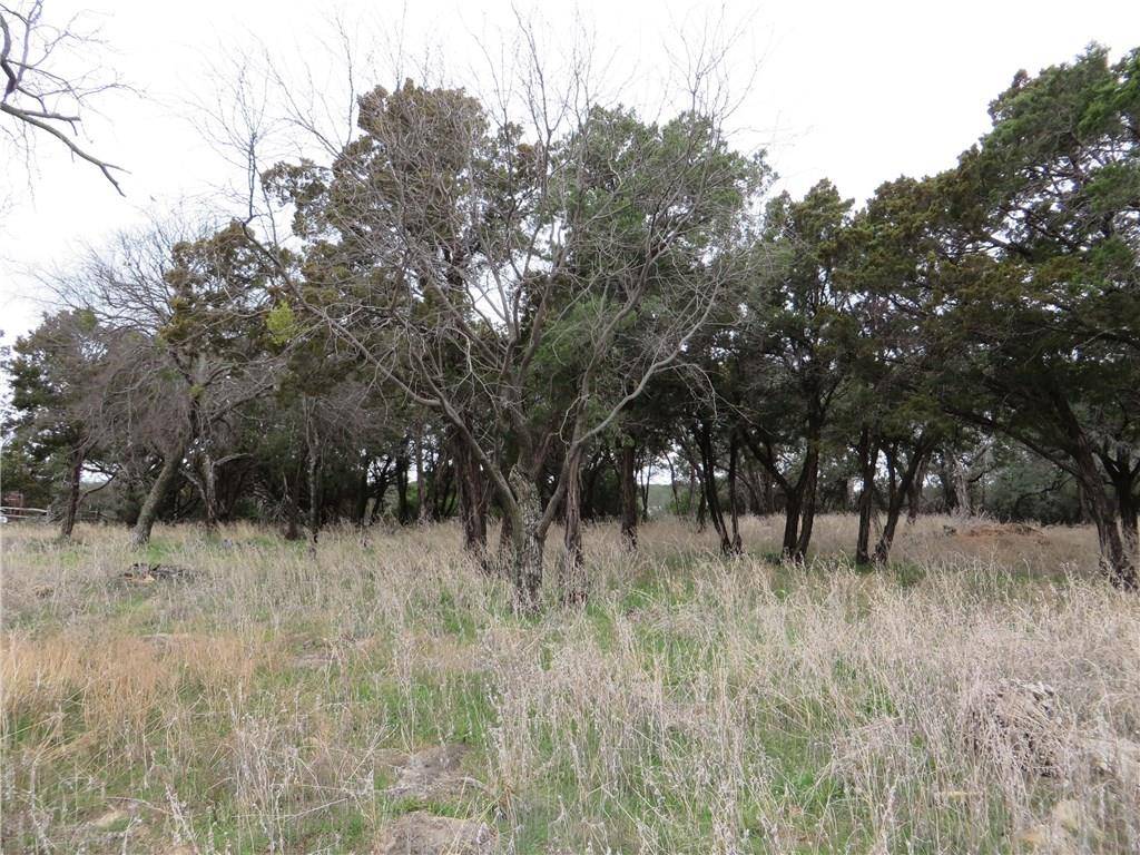 Possum Kingdom Lake, TX 76449,1015 Keechi Trail