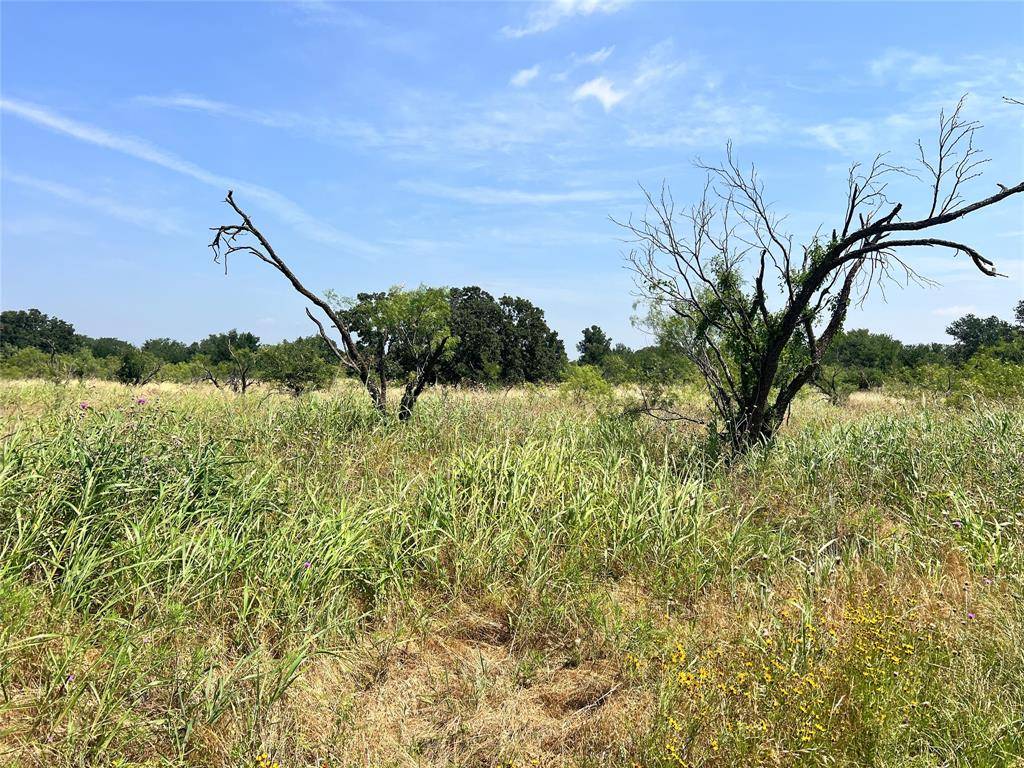 Brownwood, TX 76801,TBD Lot 65 Falcon Drive