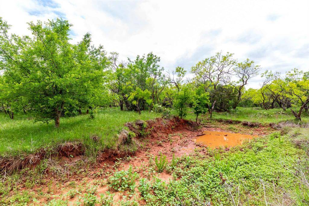 Lawn, TX 79530,TBD 8 CR 175