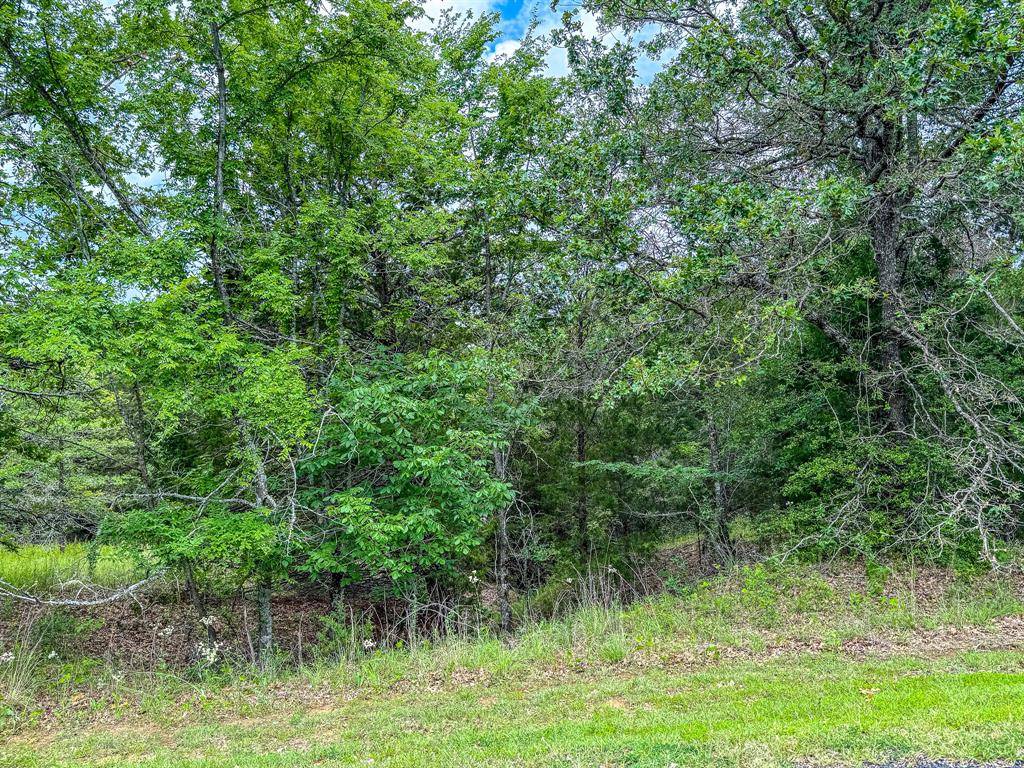 Streetman, TX 75859,Lot 1 Shiloh