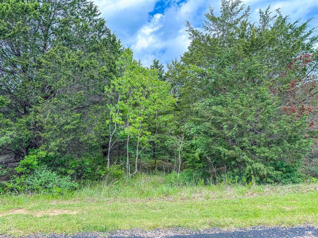 Streetman, TX 75859,Lot 1 Shiloh