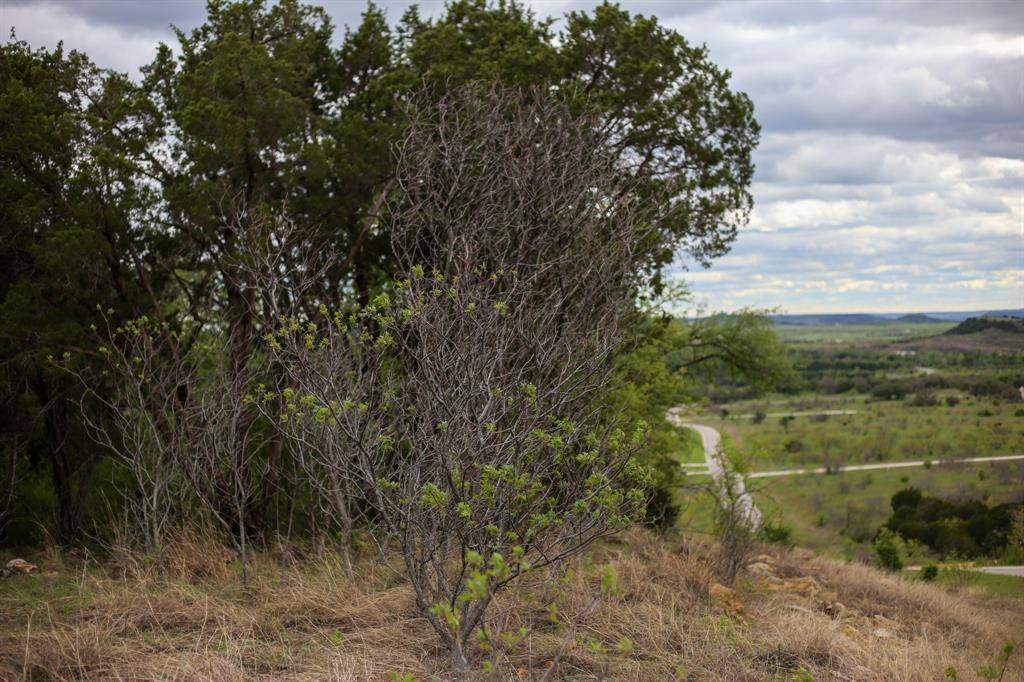 Possum Kingdom Lake, TX 76449,Lot 362 Canyon Wren Loop